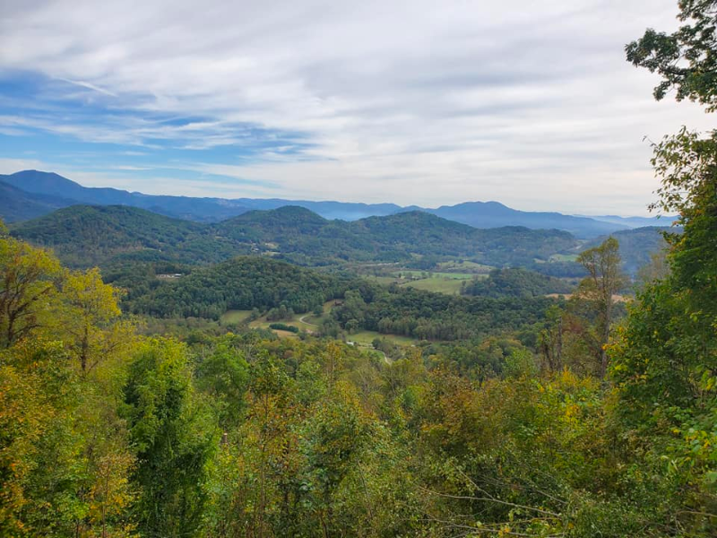 View Cutting View Cutting Aesthetics M & S Tree Tree removal waynesville nc