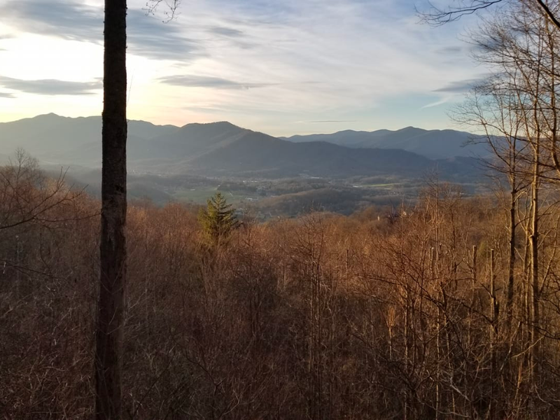 View Cutting View Cutting Convenience M & S Tree Tree removal waynesville nc