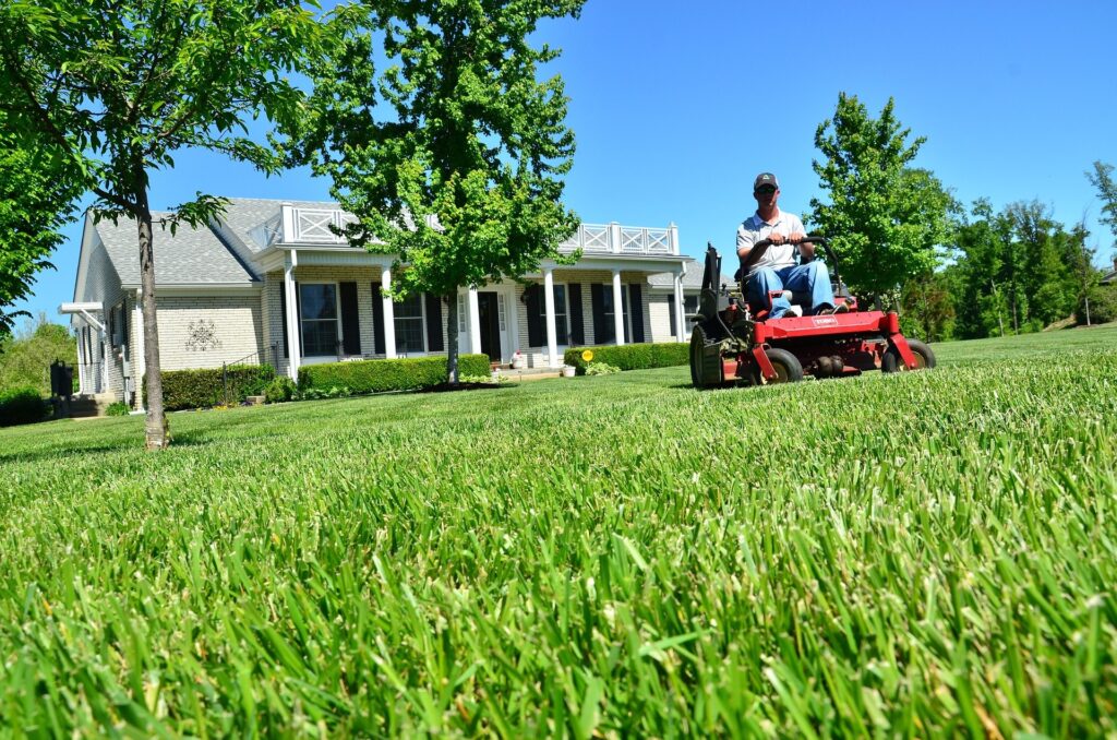 Tree service canton nc