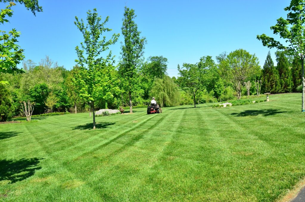 Lawn Care Tree Removal Waynesville Lawn Care And Landscaping Waynesville NC3 M & S Tree Lawn Care Tree Removal Waynesville Lawn Care And Landscaping Waynesville NC3 M & S Tree