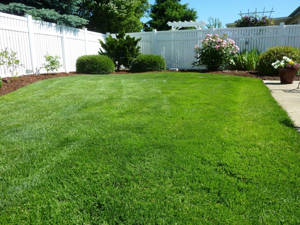 Lawn Care Tree Removal Waynesville Lawn Care And Landscaping Waynesville NC5 M & S Tree Lawn Care Tree Removal Waynesville Lawn Care And Landscaping Waynesville NC5 M & S Tree