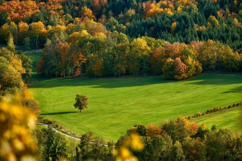 Fall Landscaping Tree Removal Waynesville field gcee30962b 1920 M & S Tree waynesville view cutting