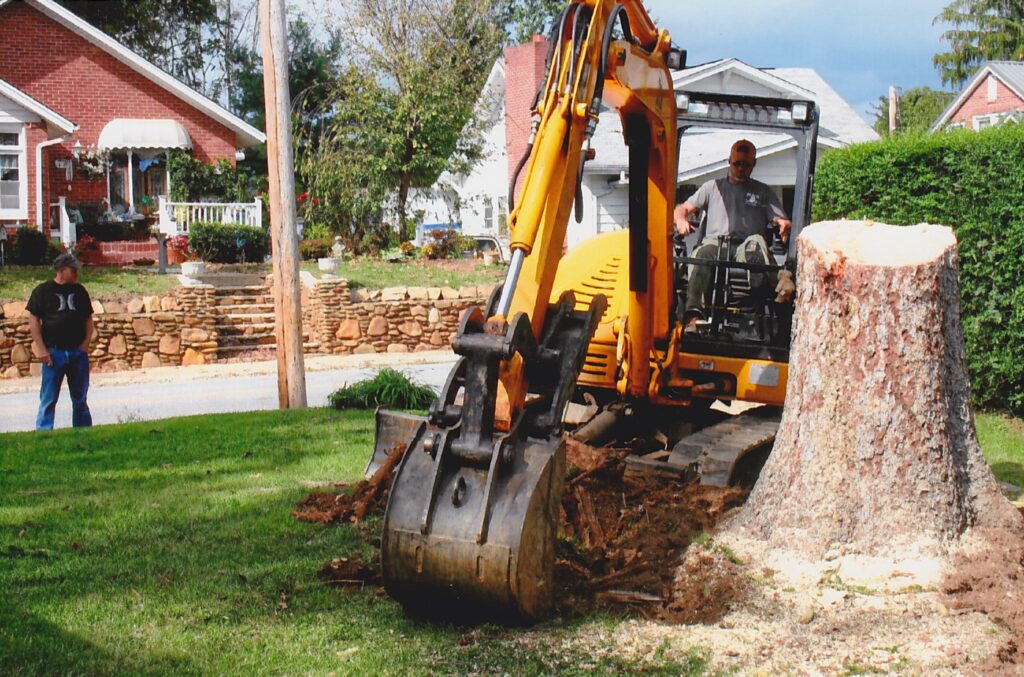 Stump Removal Tree Removal Waynesville img 20150416 0024 0 M & S Tree