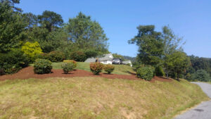 Landscaping canton nc