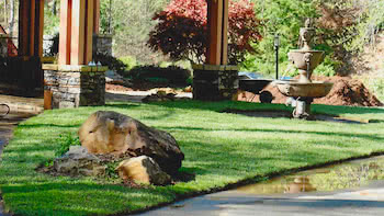 Home Tree Removal Waynesville lawn care M & S Tree Home Tree Removal Waynesville lawn care M & S Tree
