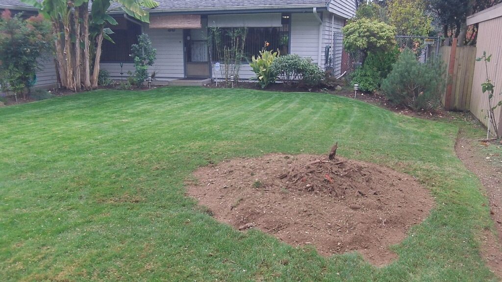 Stump Removal Stump Removal stump grinding waynesville nc M & S Tree