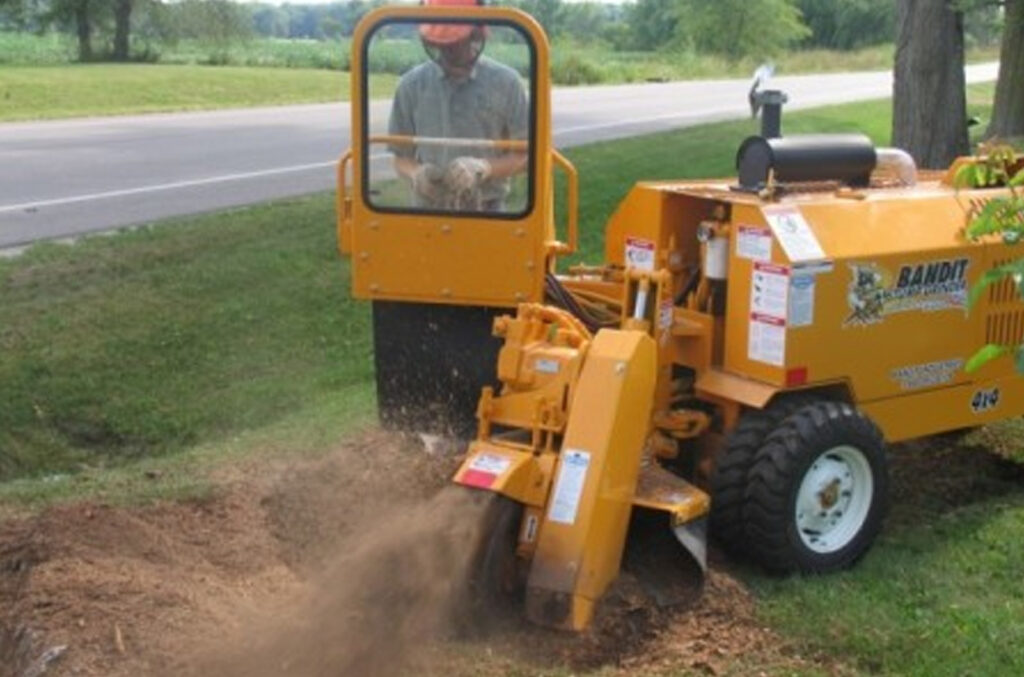 Stump Removal Stump Removal tree gringing waynesville nc M & S Tree