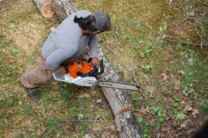 Gallery Tree Removal Waynesville tree service 44 M & S Tree